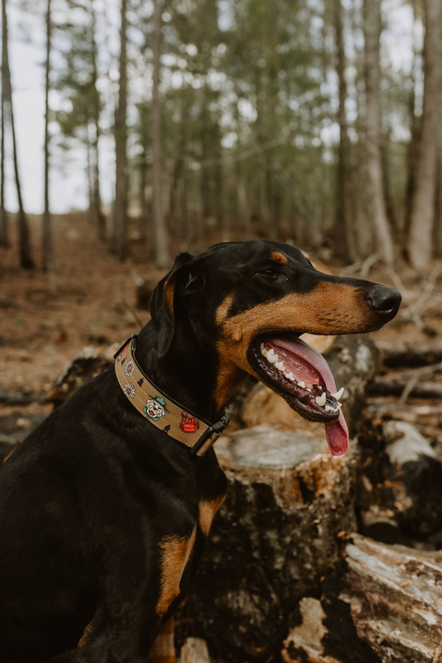 National Barks Dog Collar: Extra Large