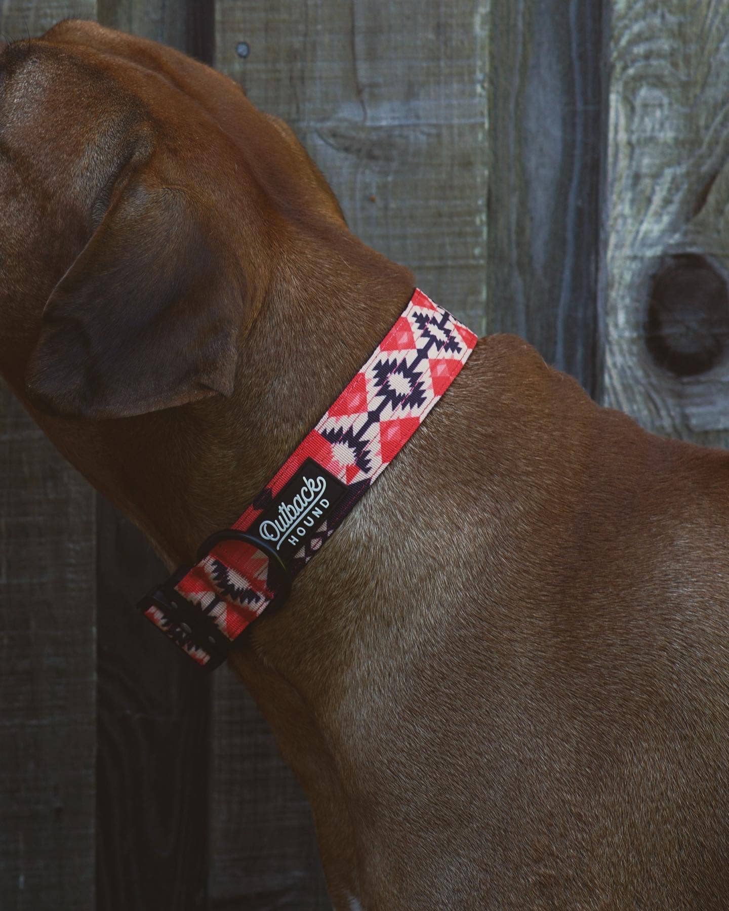 Aztec Dog Collar: Extra Large
