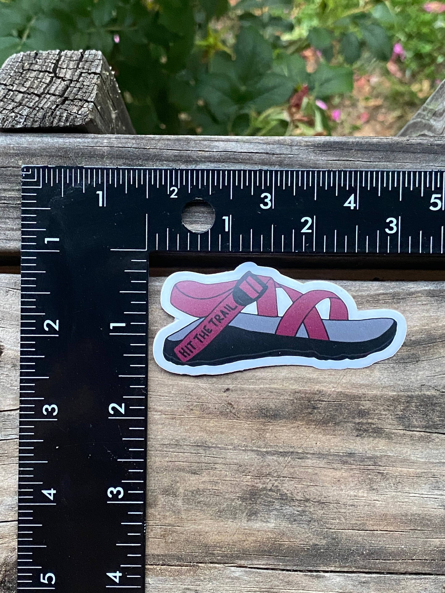 Hit the Trail- Chaco Sandal