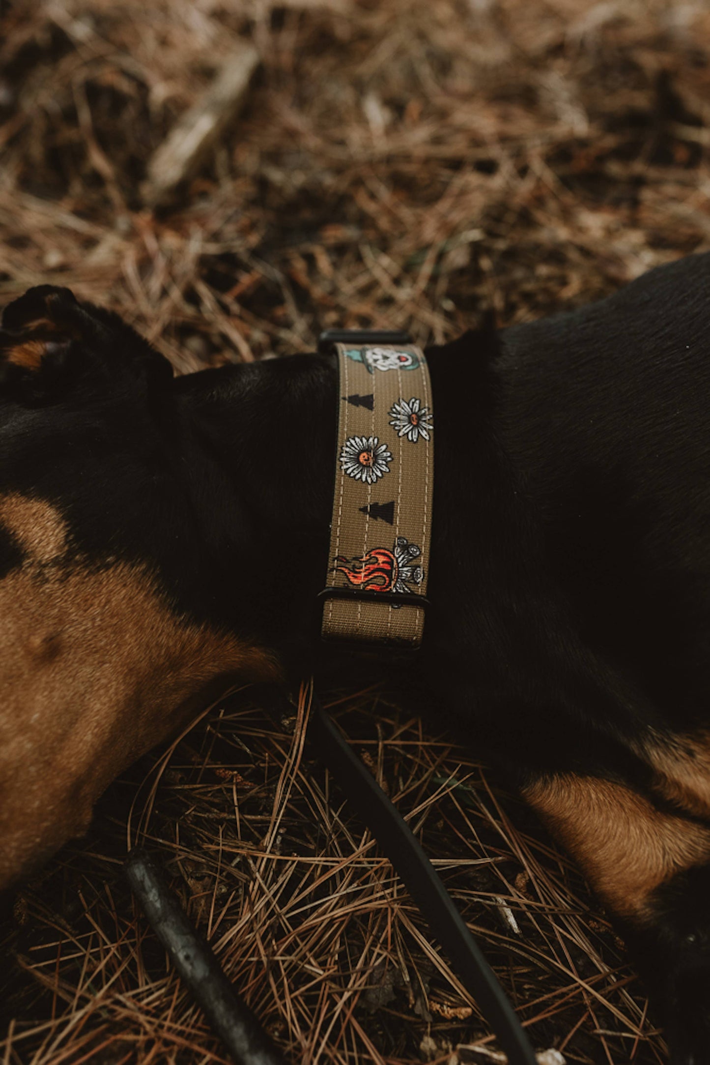National Barks Dog Collar: Extra Large