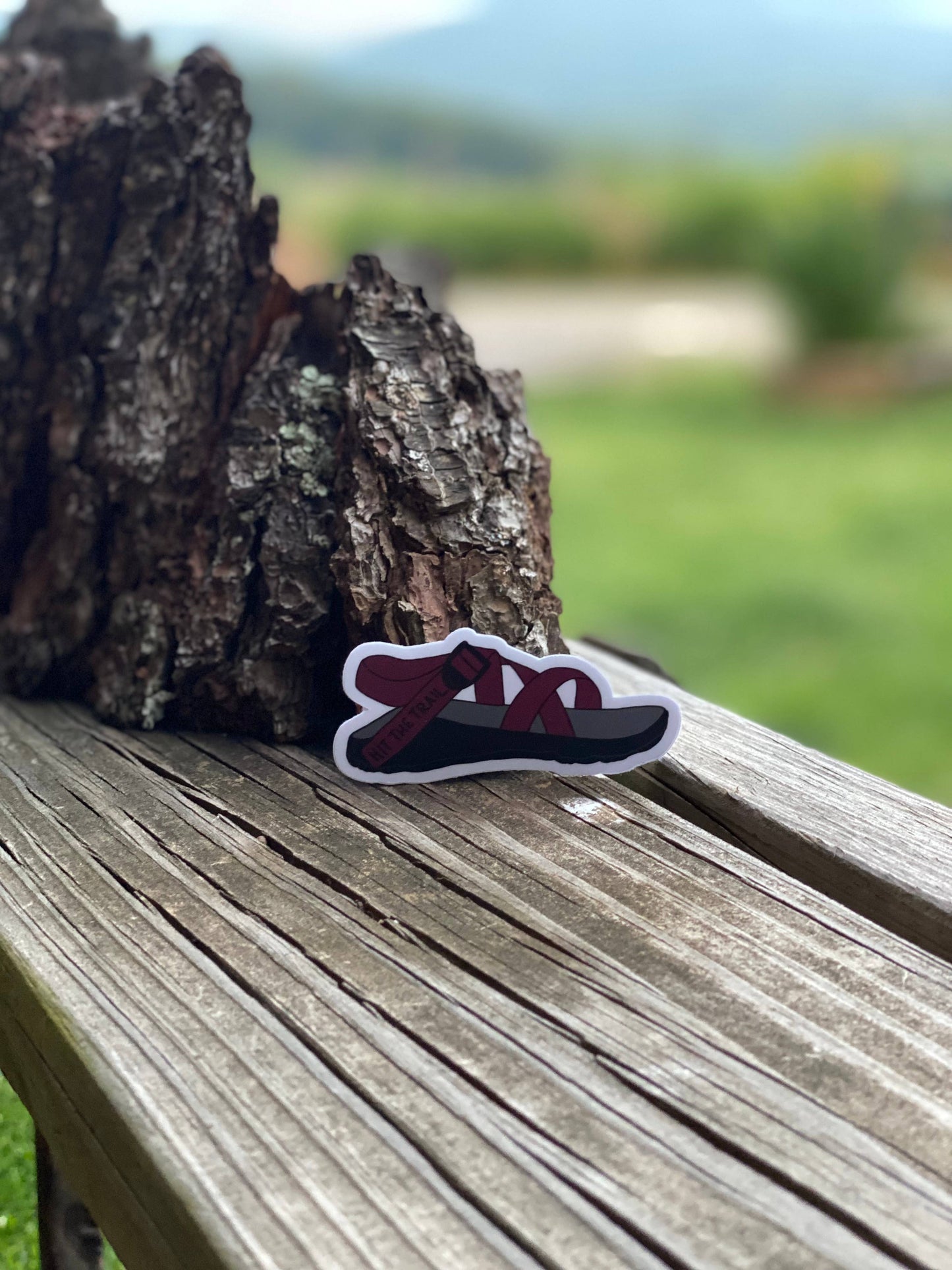 Hit the Trail- Chaco Sandal