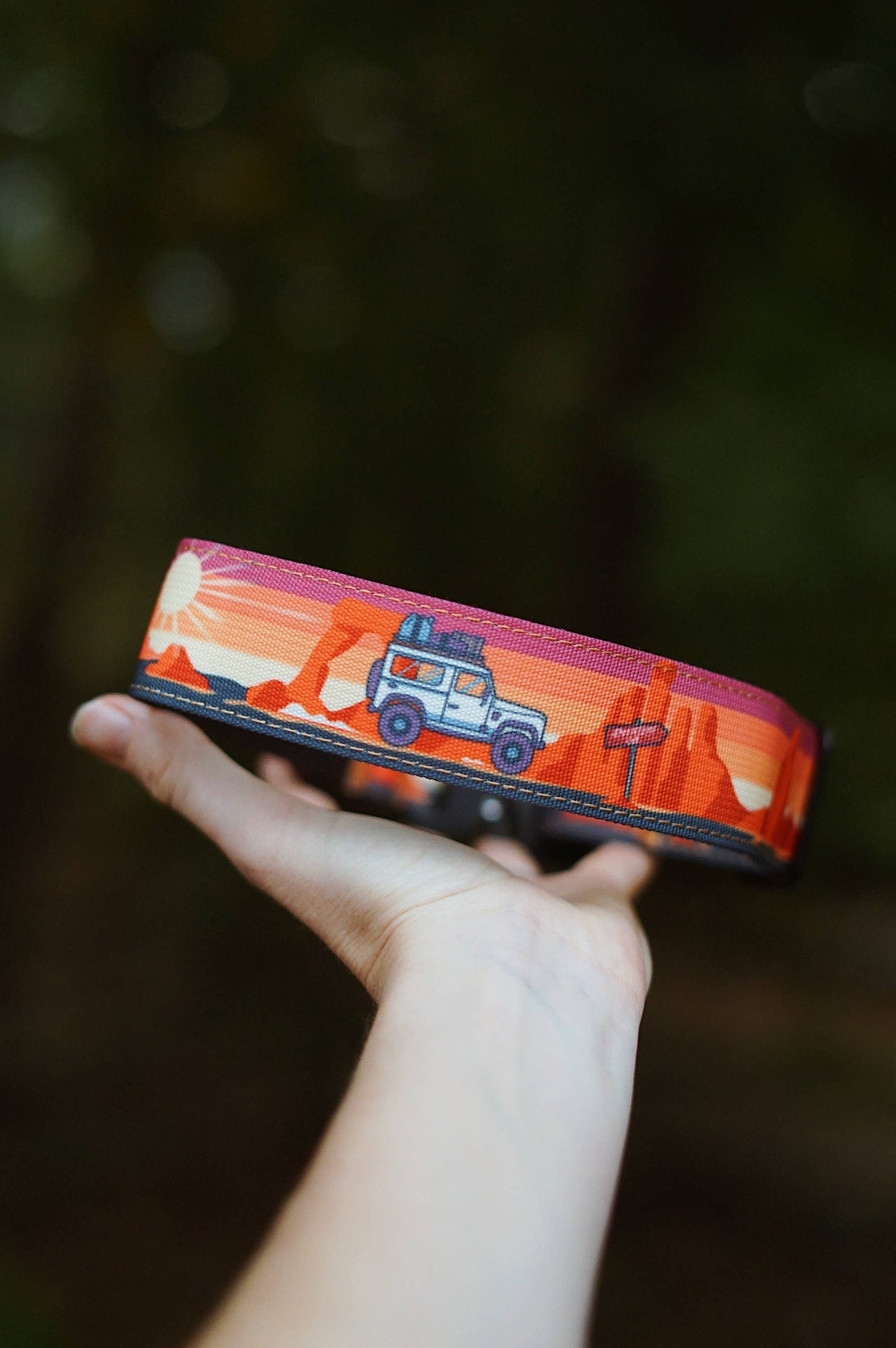 Adventure On Dog Collar: Medium