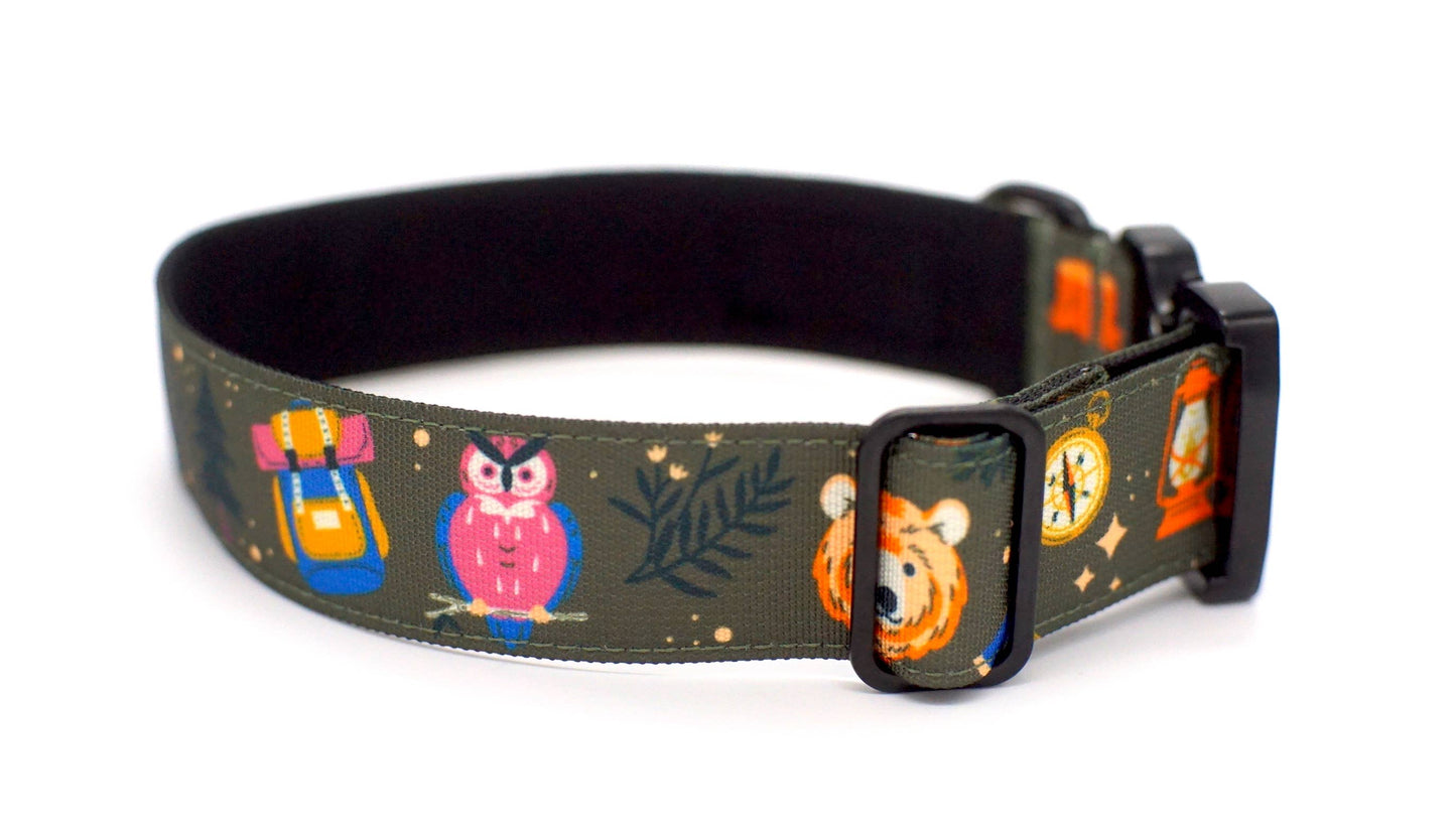 Enchanted Forest Dog Collar : Medium