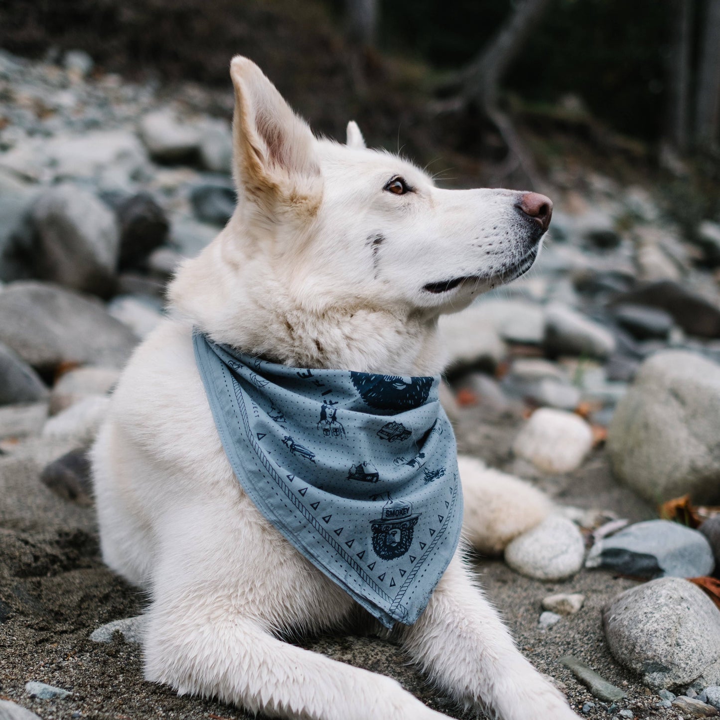 Only You Bandana