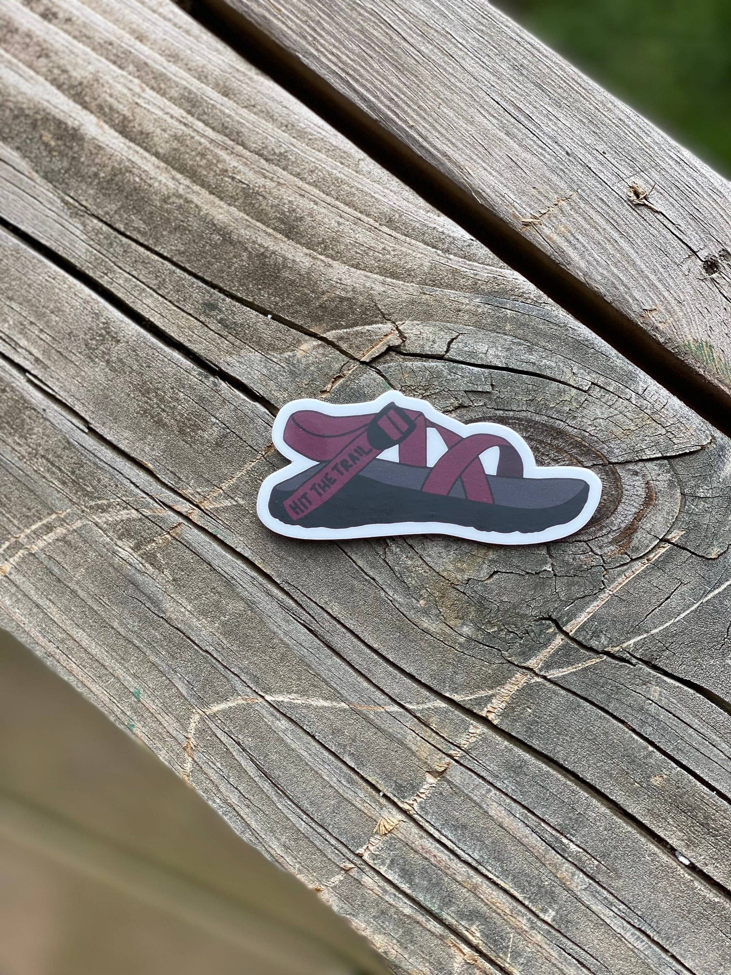 Hit the Trail- Chaco Sandal