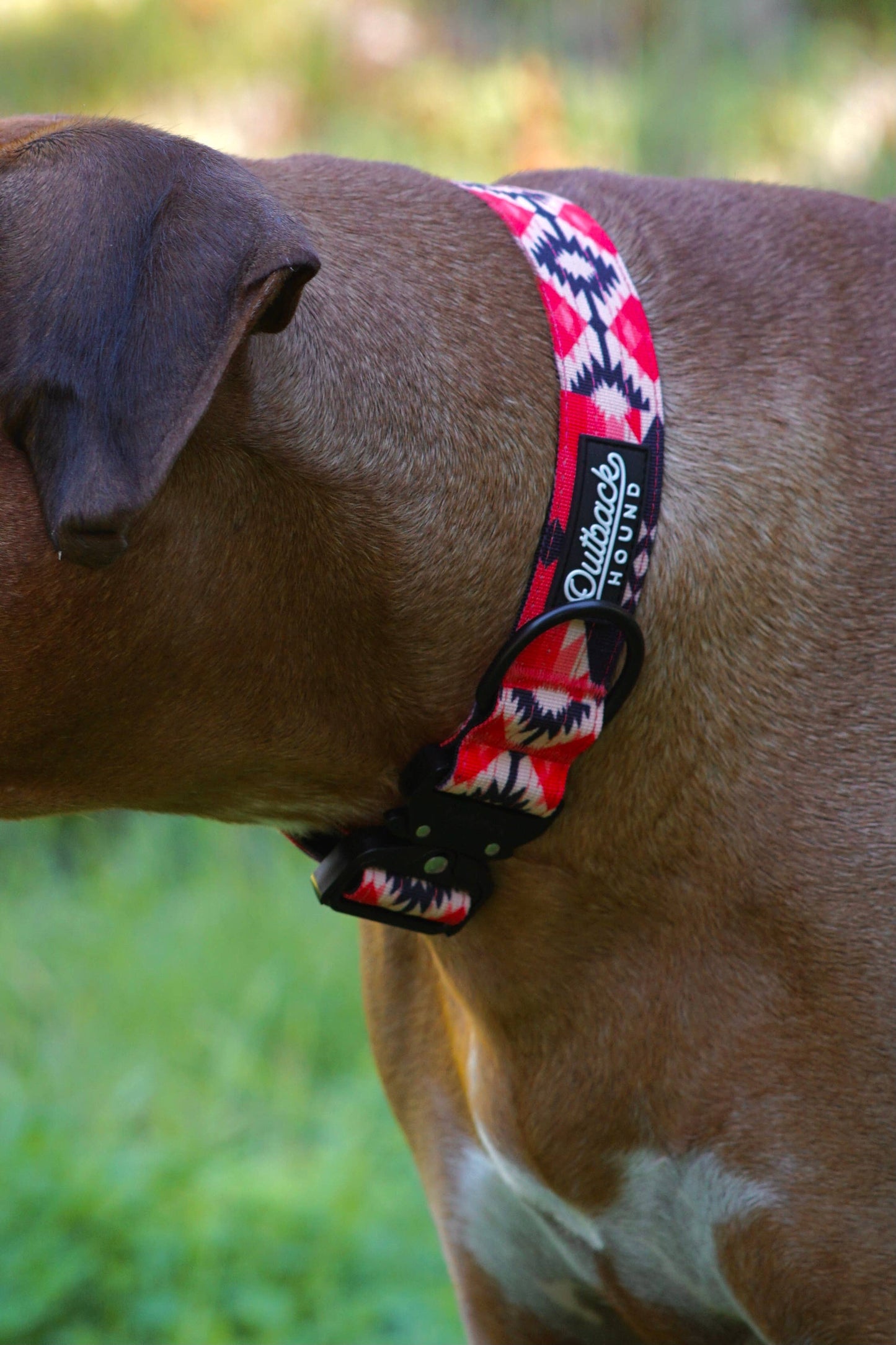 Aztec Dog Collar: Extra Large