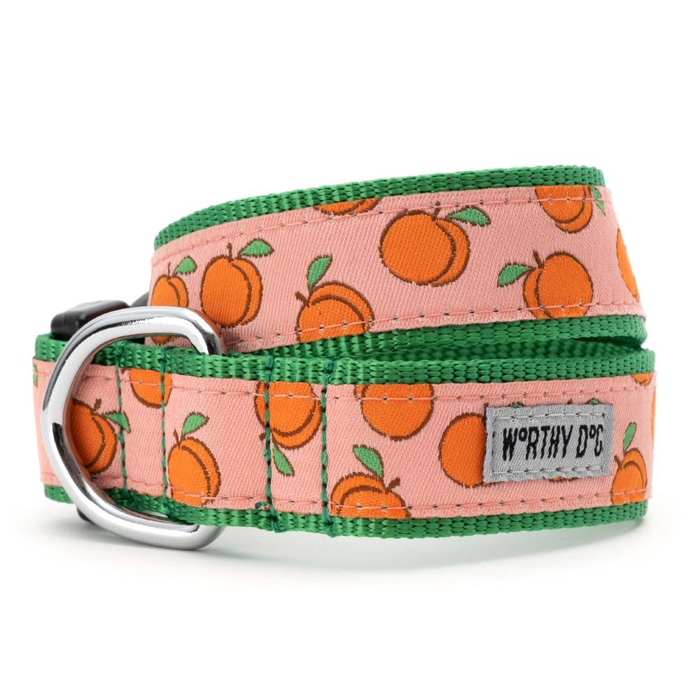Peachy Keen Collar: Peach / Small