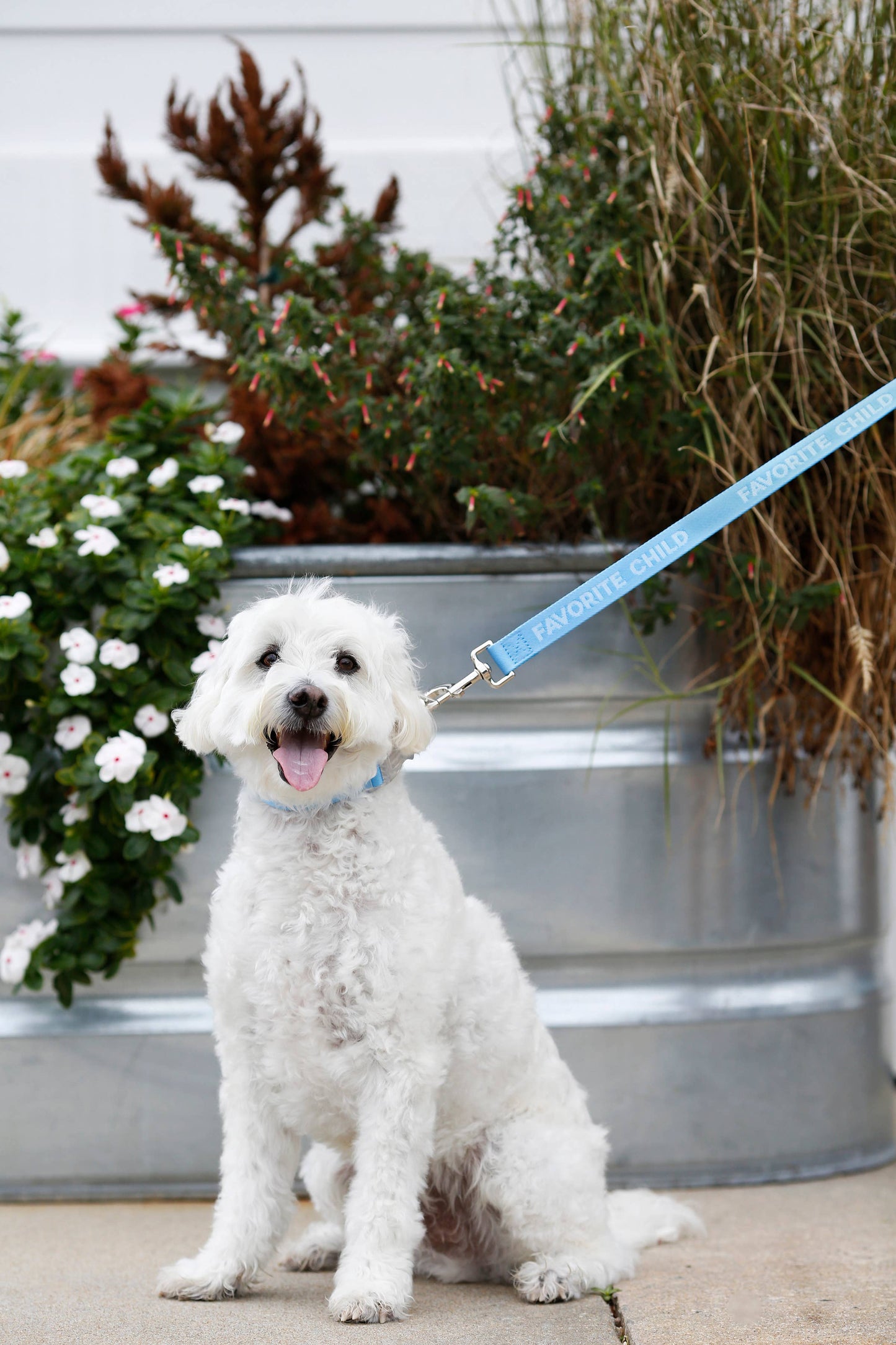 Favorite Child Sky Blue - Dog Leash